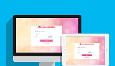 西藏市妇联数据信息三级报送系统