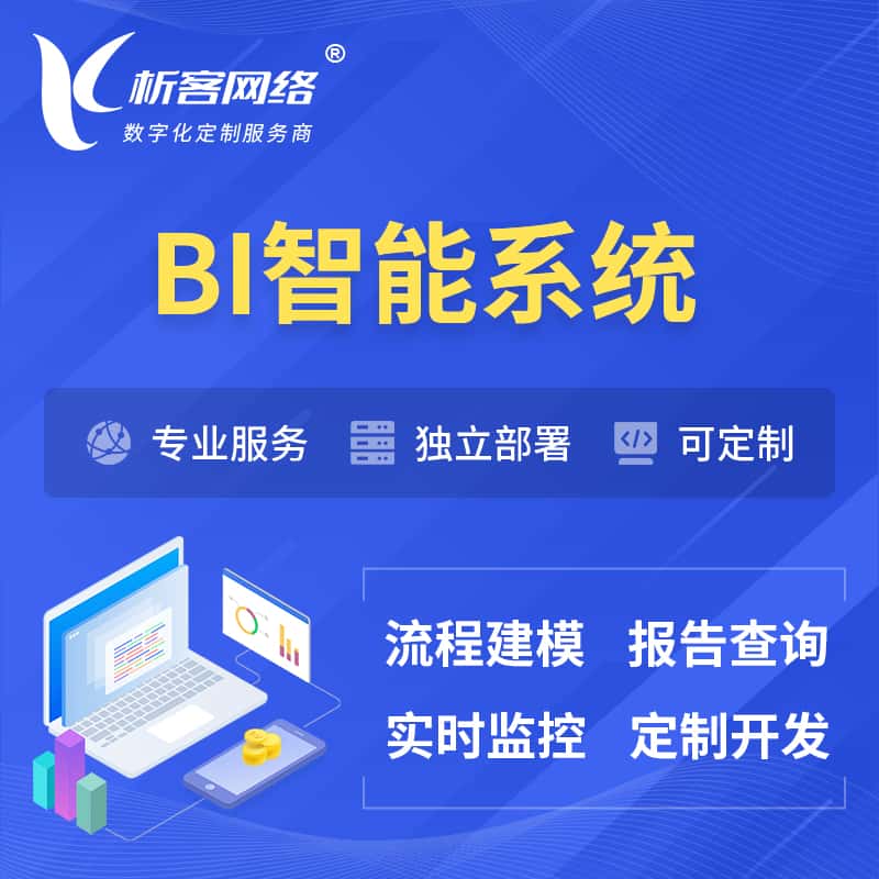 西藏BI智能系统 | BI数据可视化