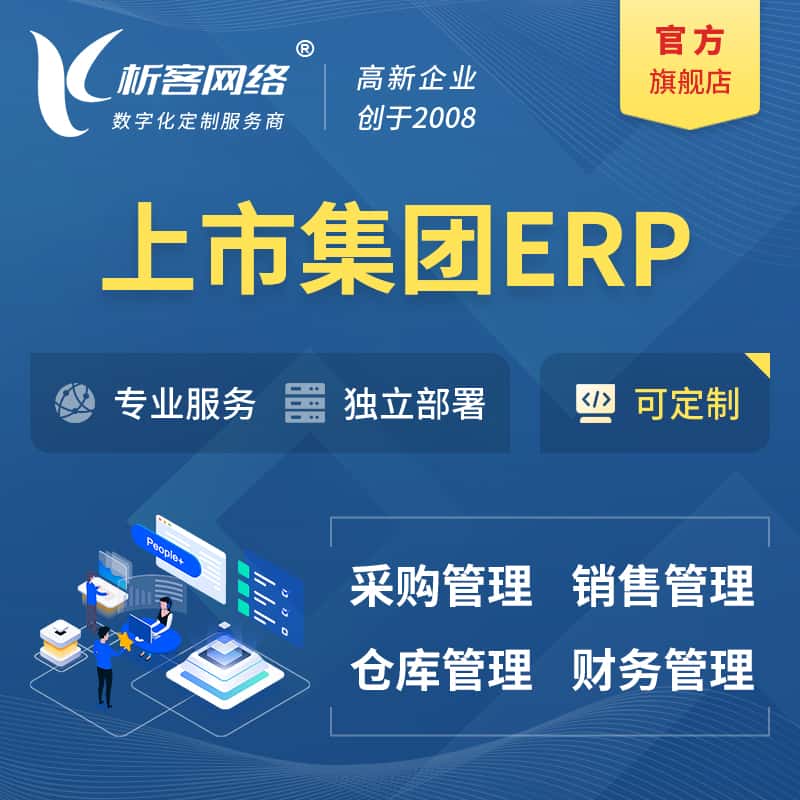 西藏上市集团ERP软件生产MES车间管理系统